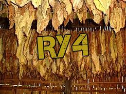 ry4jo.jpg
